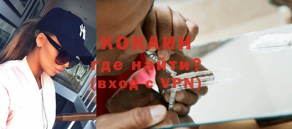 крисы Абаза
