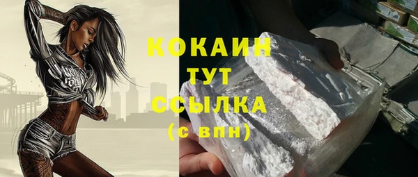 крисы Абаза
