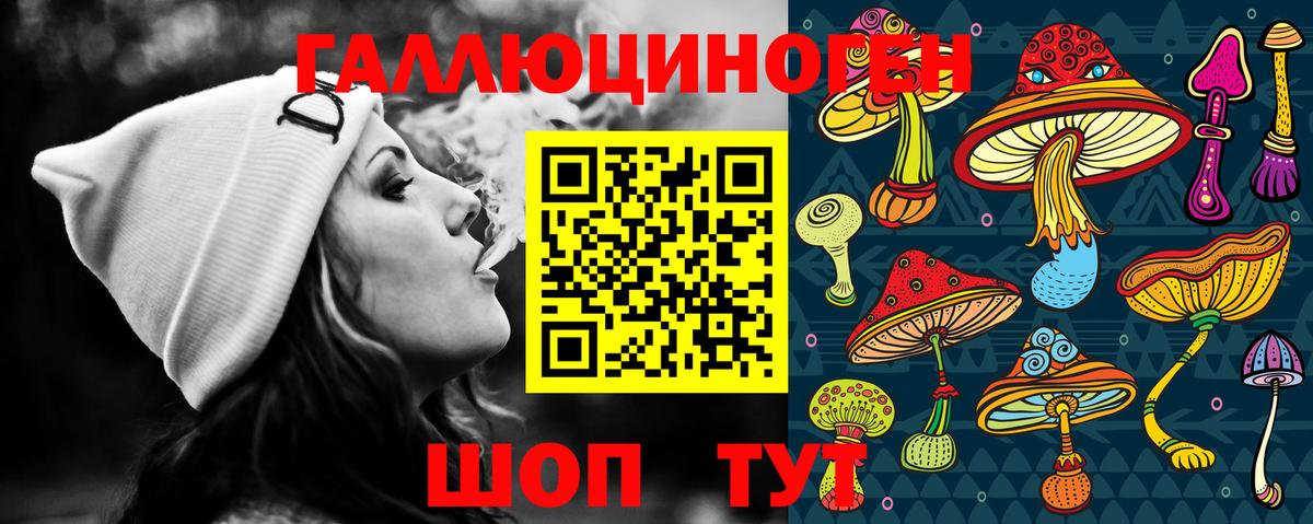 Псилоцибиновые грибы Cubensis  Вход с VPN  Псилоцибиновые грибы Psilocybe  Отрадный 